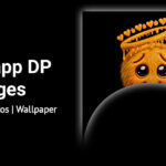WhatsApp DP Images